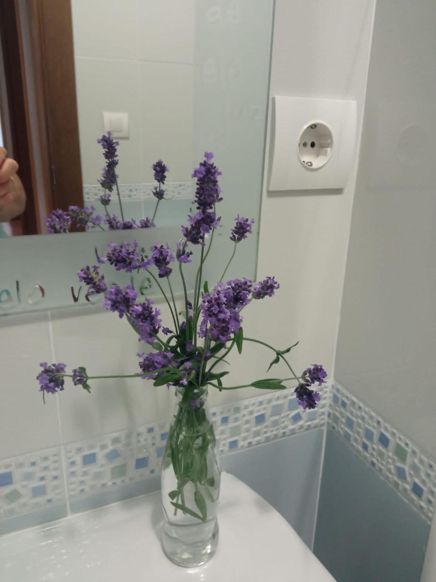 Apartamentos La Blanca Нуэва-де-Льянес Экстерьер фото